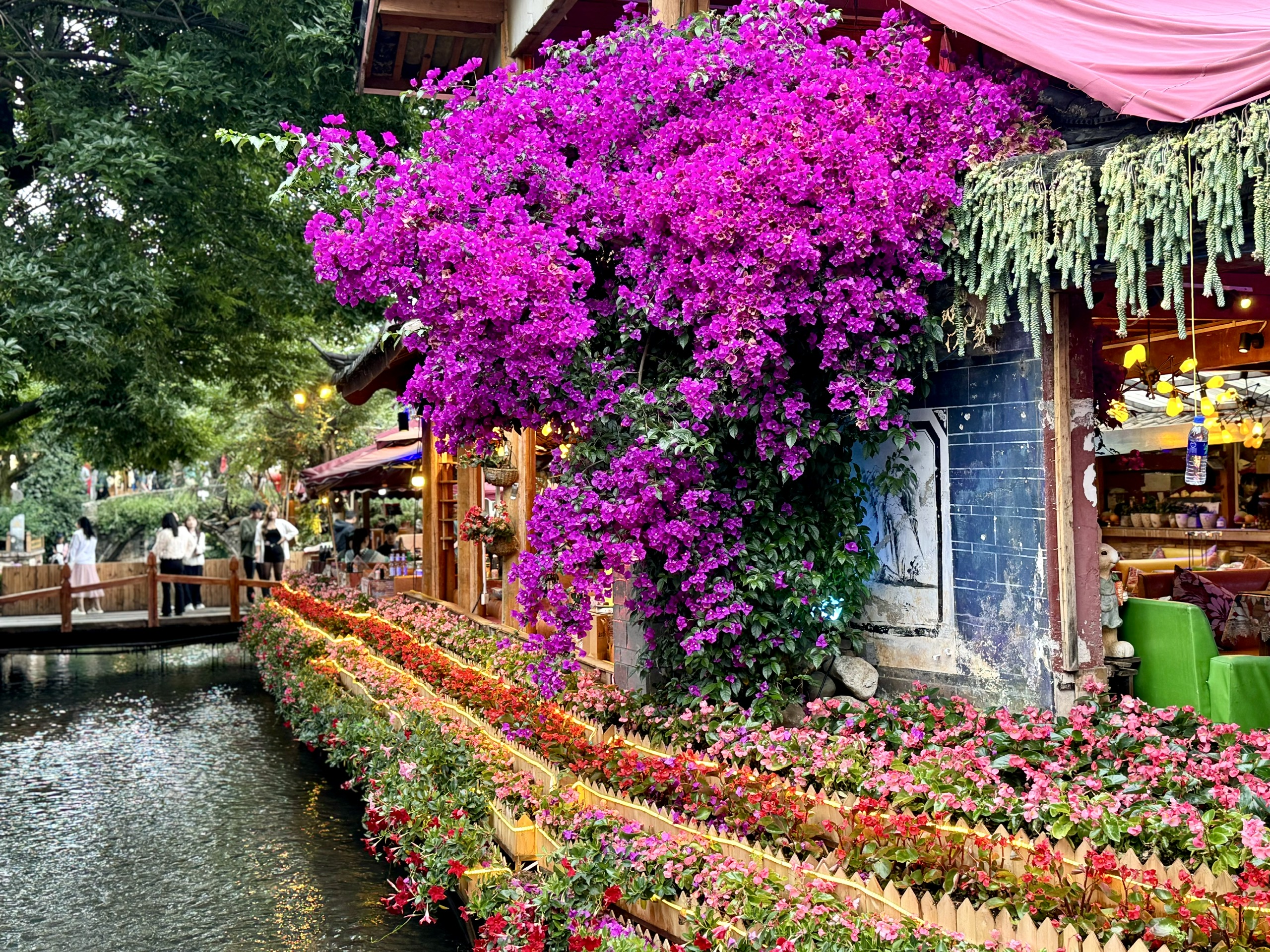 Ảnh Lệ Giang - Shangrila 