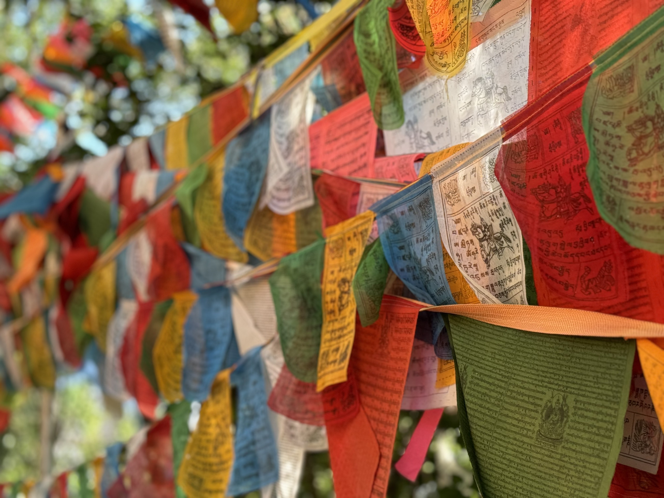 Ảnh Lệ Giang - Shangrila 