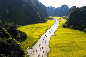 TOUR DU LỊCH HOA LƯ - TAM CỐC - HANG MÚA - 1 NGÀY