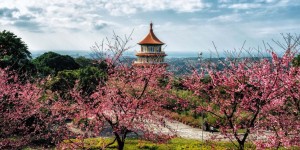 DU XUÂN ĐÓN TẾT ĐÀI LOAN: HÀ NỘI – ĐÀI BẮC – ĐÀI TRUNG – CAO HÙNG – HÀ NỘI