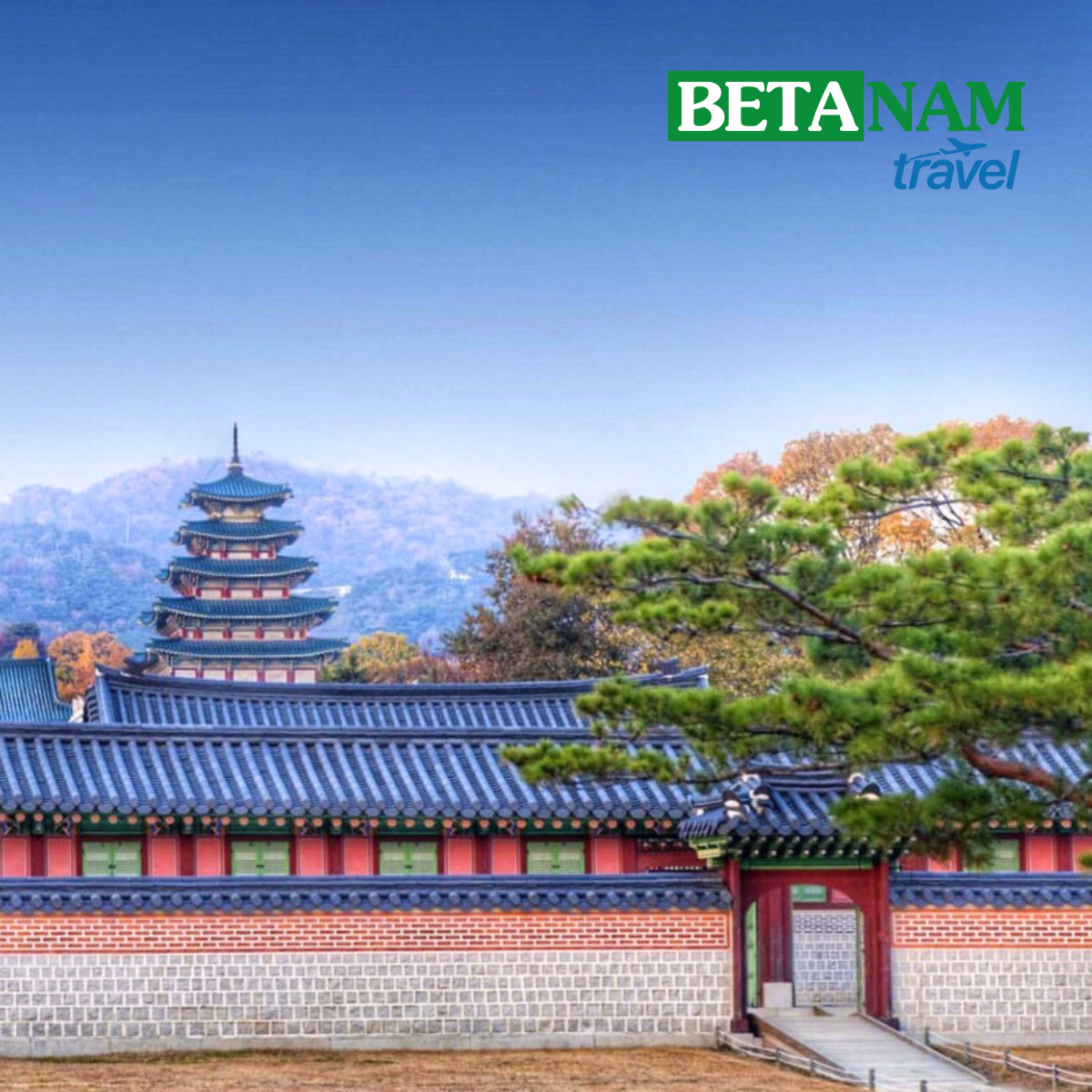 Khám phá “xứ sở Kim chi” Hàn Quốc: HÀ NỘI – SEOUL - ĐẢO NAMI – EVERLAND –  PAINTER SHOW