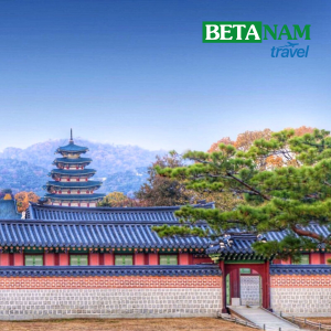 Khám phá “xứ sở Kim chi” Hàn Quốc: HÀ NỘI – SEOUL - ĐẢO NAMI – EVERLAND –  PAINTER SHOW