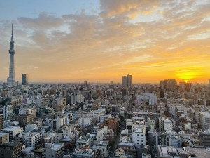 MÙA HOA  ANH ĐÀO: HÀ NỘI - TOKYO - FUJI.MT - NAGOYA –  KYOTO - OSAKA